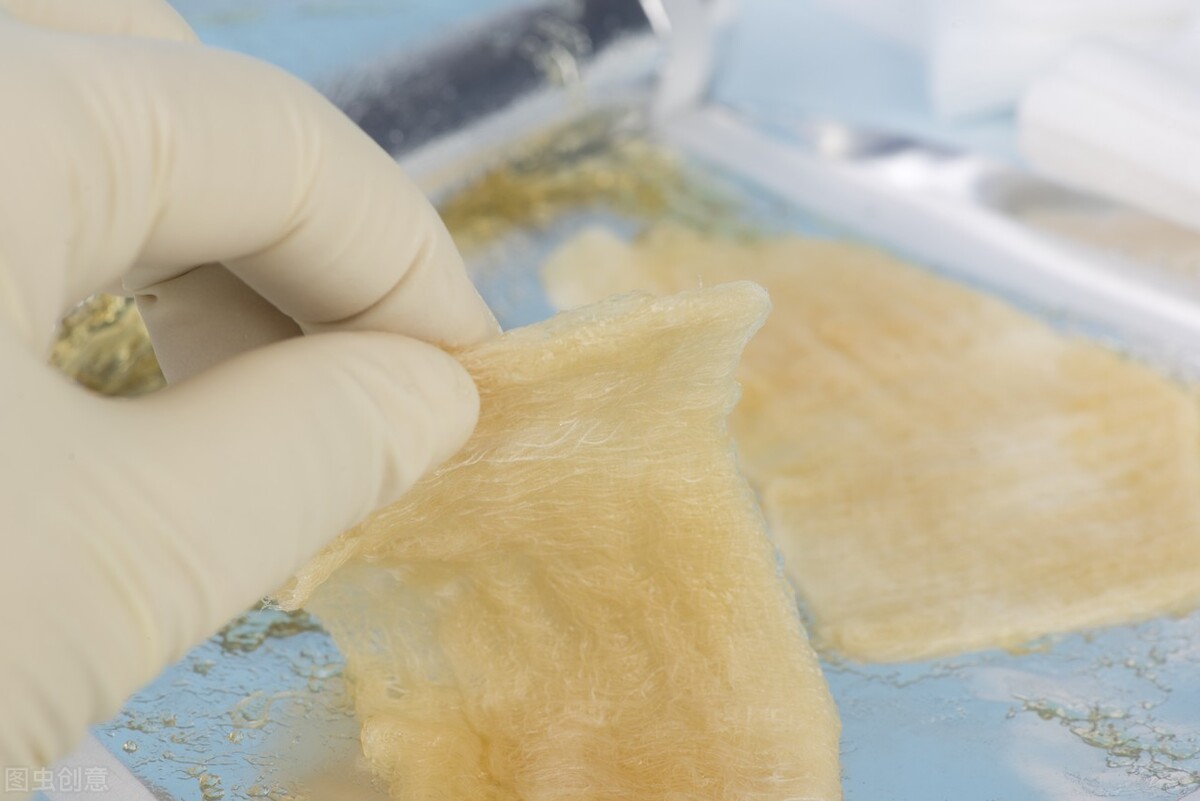 仿生蜥蜴爬行机械怎么做,可以爬墙的蜥蜴有哪些