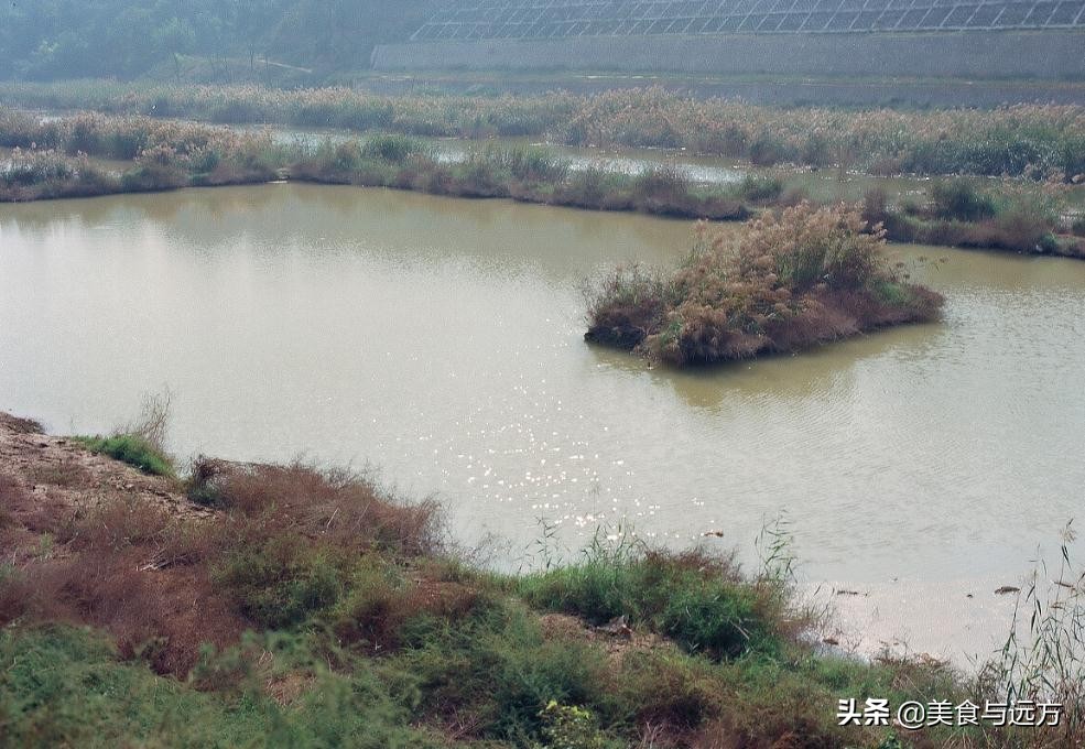 百里石川河，一路风景一路歌