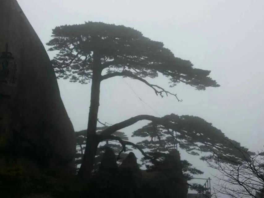 游黄山的经历,第一次旅行黄山