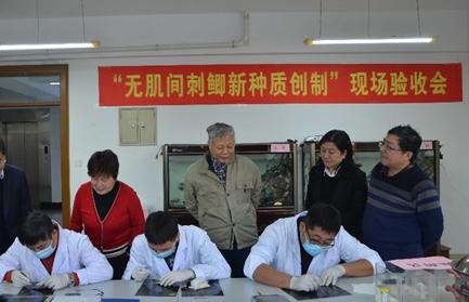 鲫鱼最爱吃的十种食物,大鲫鱼怎么做不用挑刺