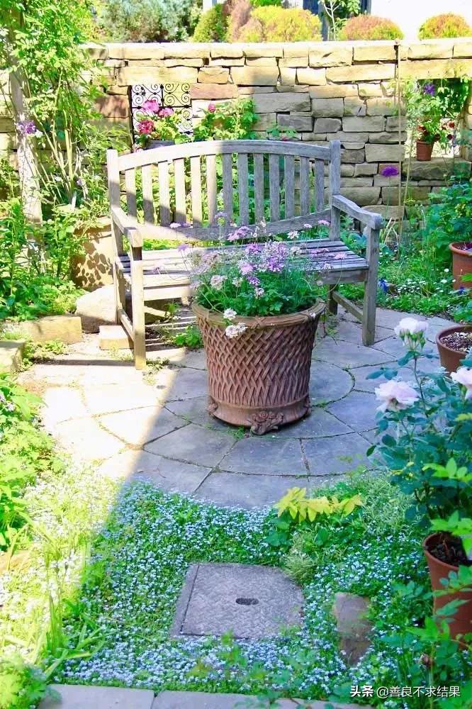 好看的地被植物,超实用的地被植物干货值得收藏