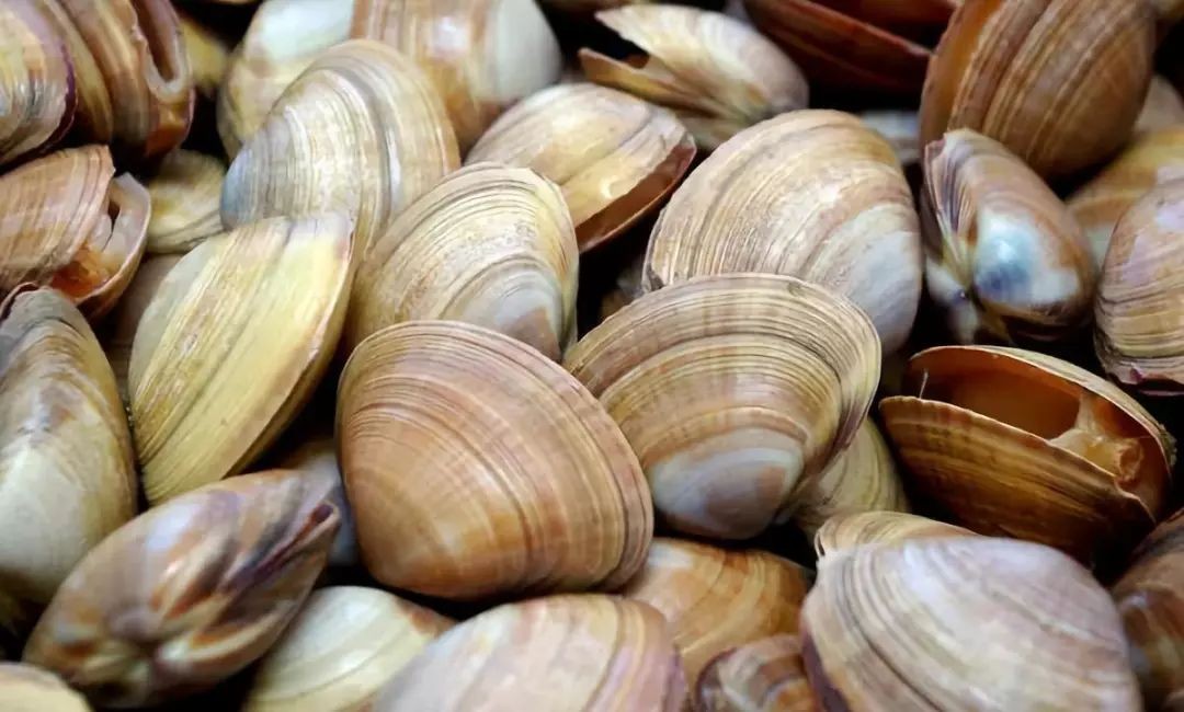 海洋动物体内的原肌球蛋白含量，是否会引起人体食物过敏？