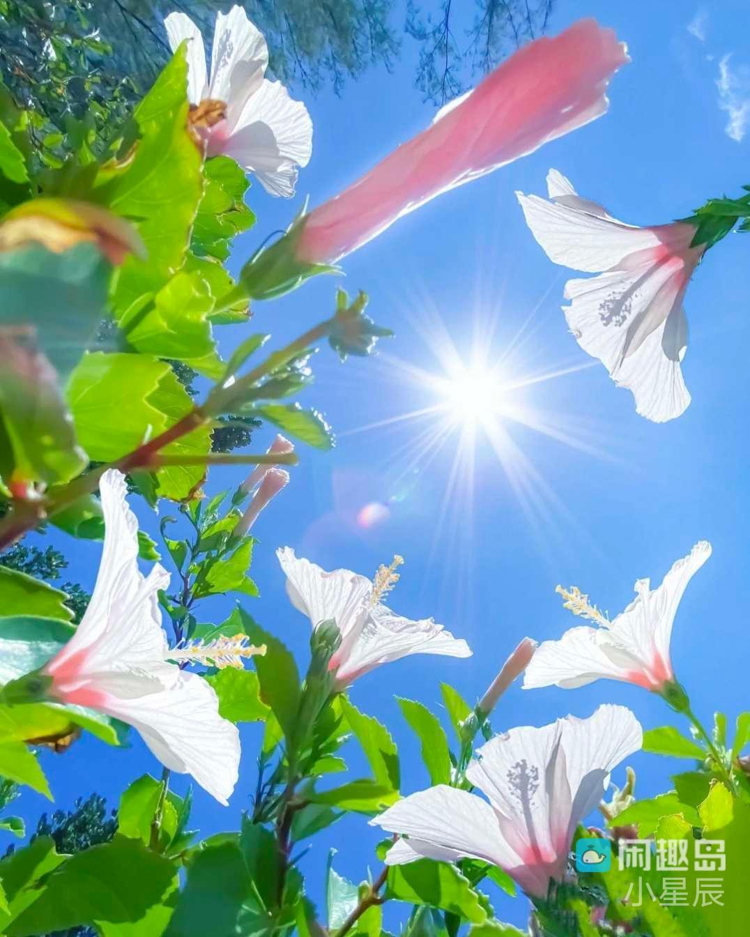 发光的石头交友群，是我在闲趣岛遇过最舒适的群组！