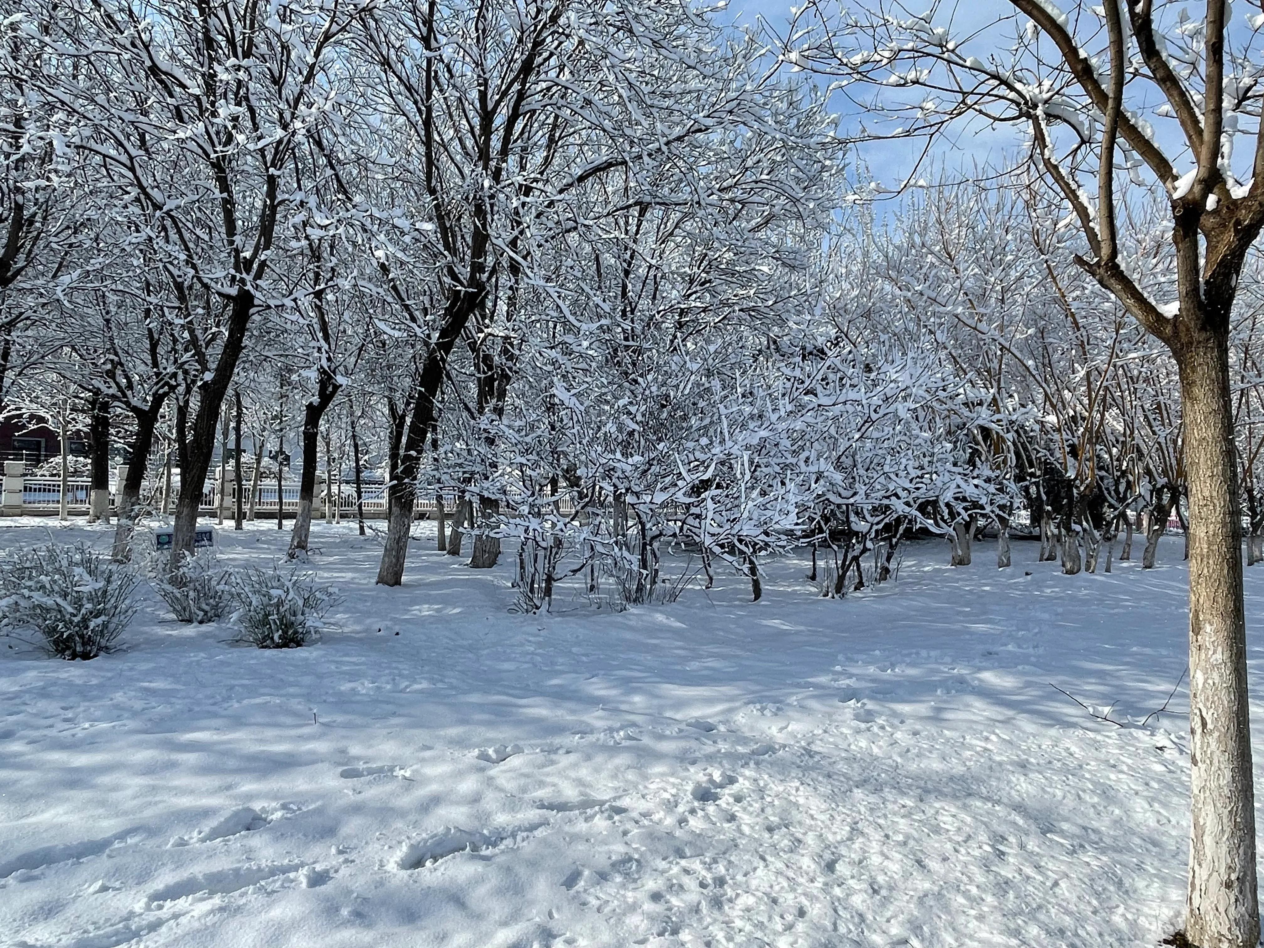 中沙之战足球,中国男足对鲁能的评价