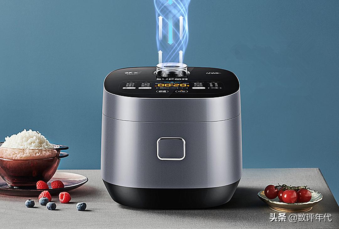 电饭煲哪个品牌型号质量好,电饭煲哪一个小众品牌好