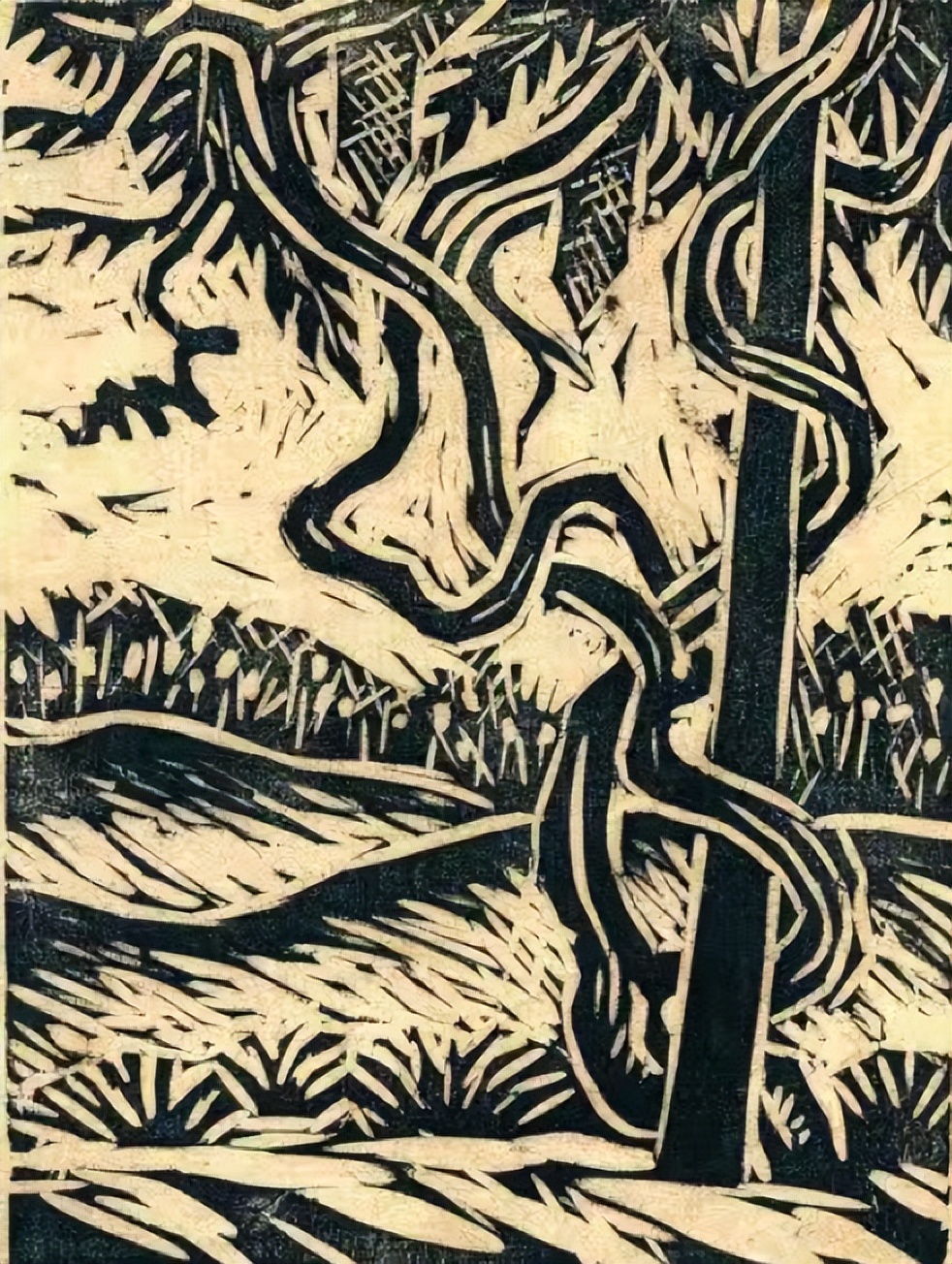 这一架紫藤，隔开了俗世