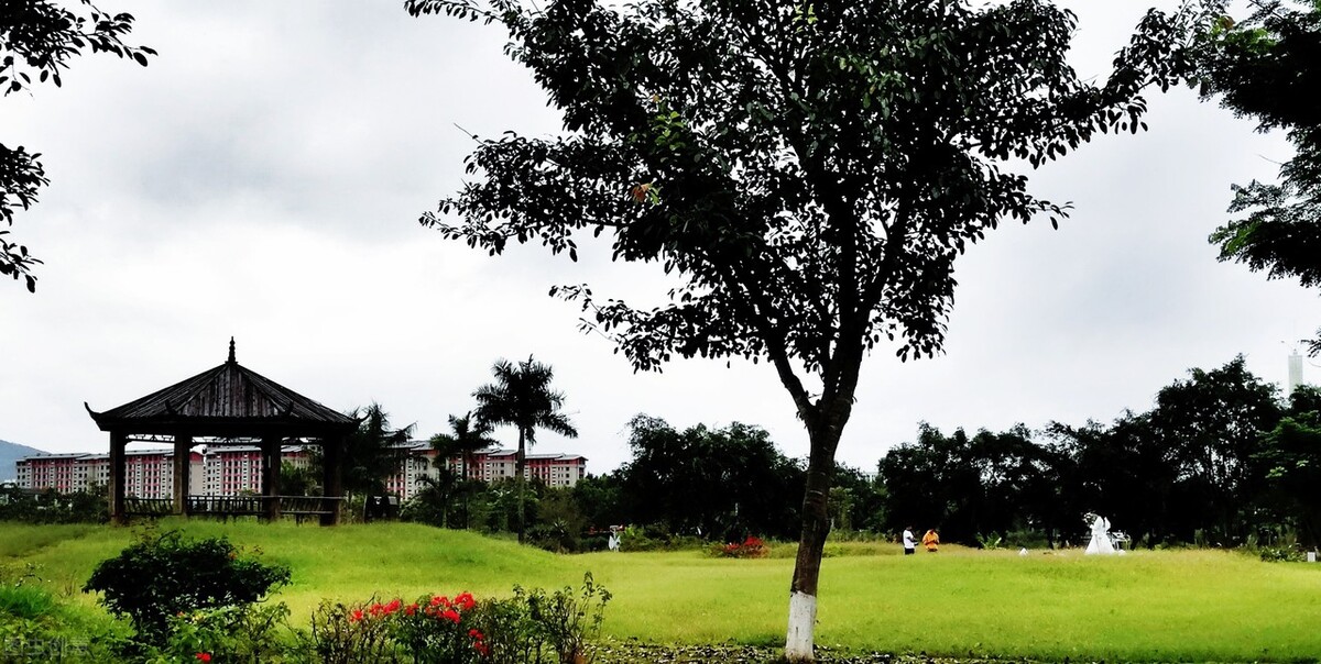 冬季避寒还是得去云南西双版纳,云南版纳哪些地方值得去