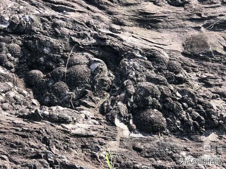 雁荡山的七大景区,雁荡山八大景区哪个更值得去
