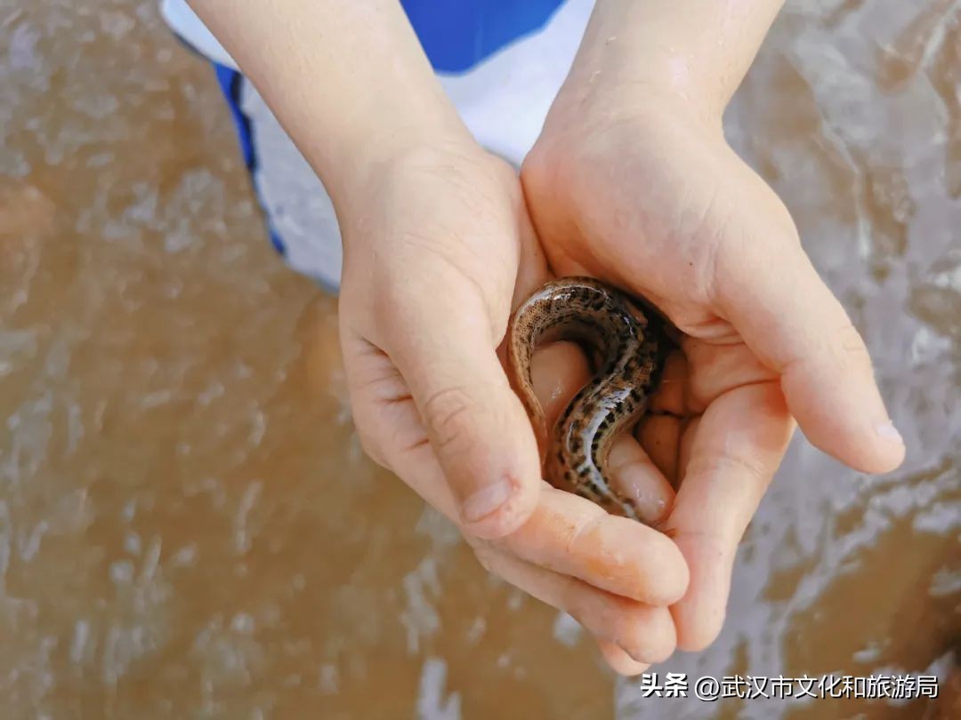 抓紧享受假期的尾巴,抓住假期小尾巴愉快的五一假期
