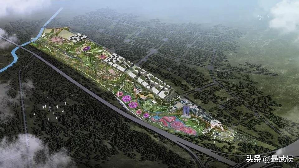 她妆电商直播,她妆美谷电商节