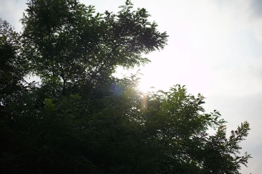 微单小三元镜头,索尼长焦镜头70-200f4机身按键作用