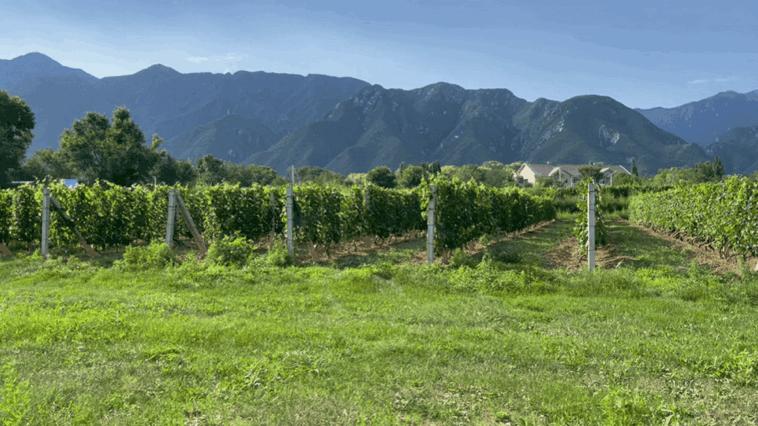 打卡北京这个超级亲子度假村！见识了遛娃界天花板，奉上超全攻略