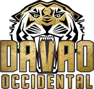 虎年说虎表演,虎年说虎华南虎