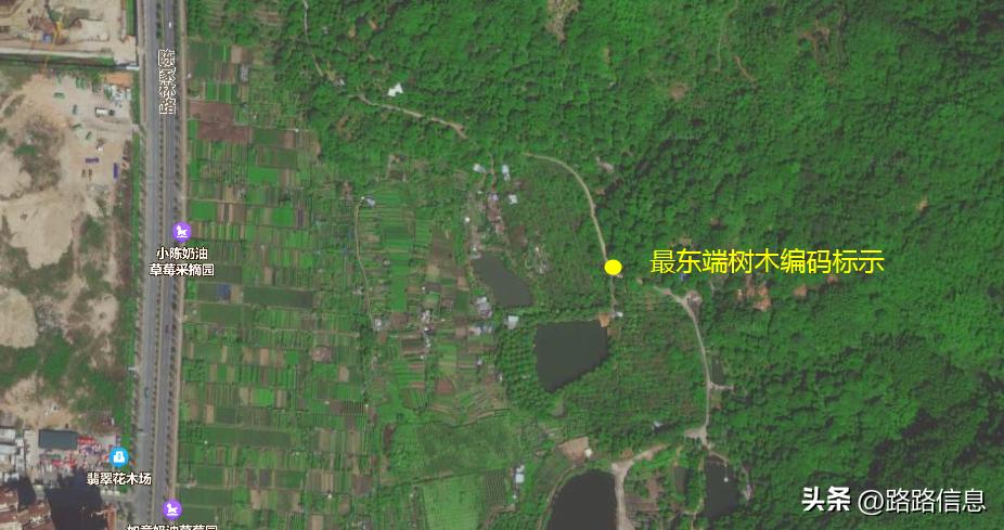 佛穗莞城际陈家林站,穗莞佛城轨陈家林站