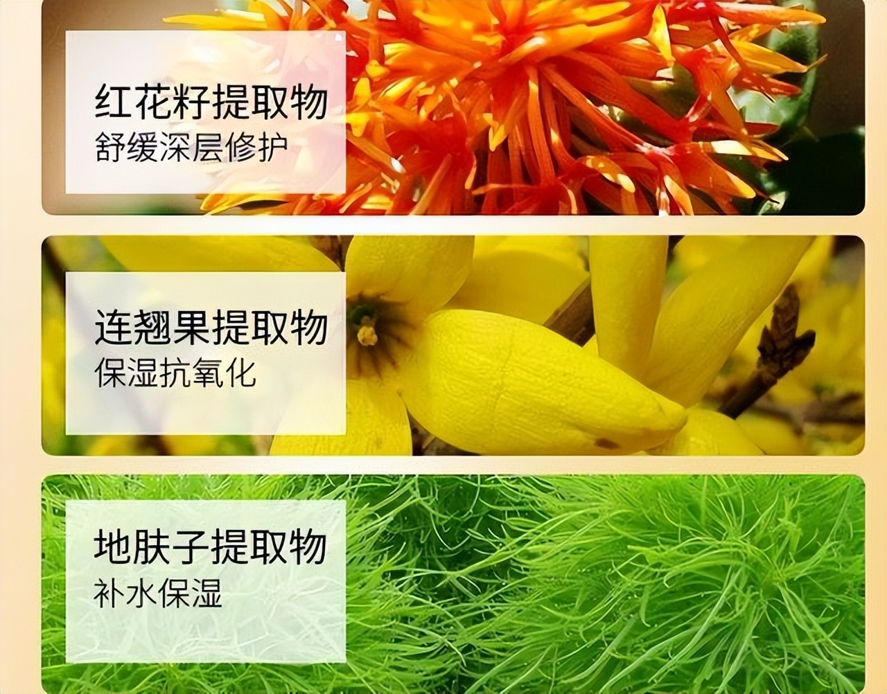 贵妇面霜和平价妮维雅面霜的区别 (好的面霜和便宜的面霜有什么区别)