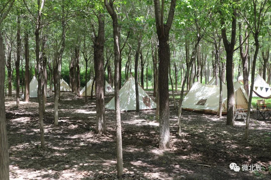 夏日露营不二选！北辰区“嚒嚒兽梦幻森林”清凉来袭~（转发得门票！）