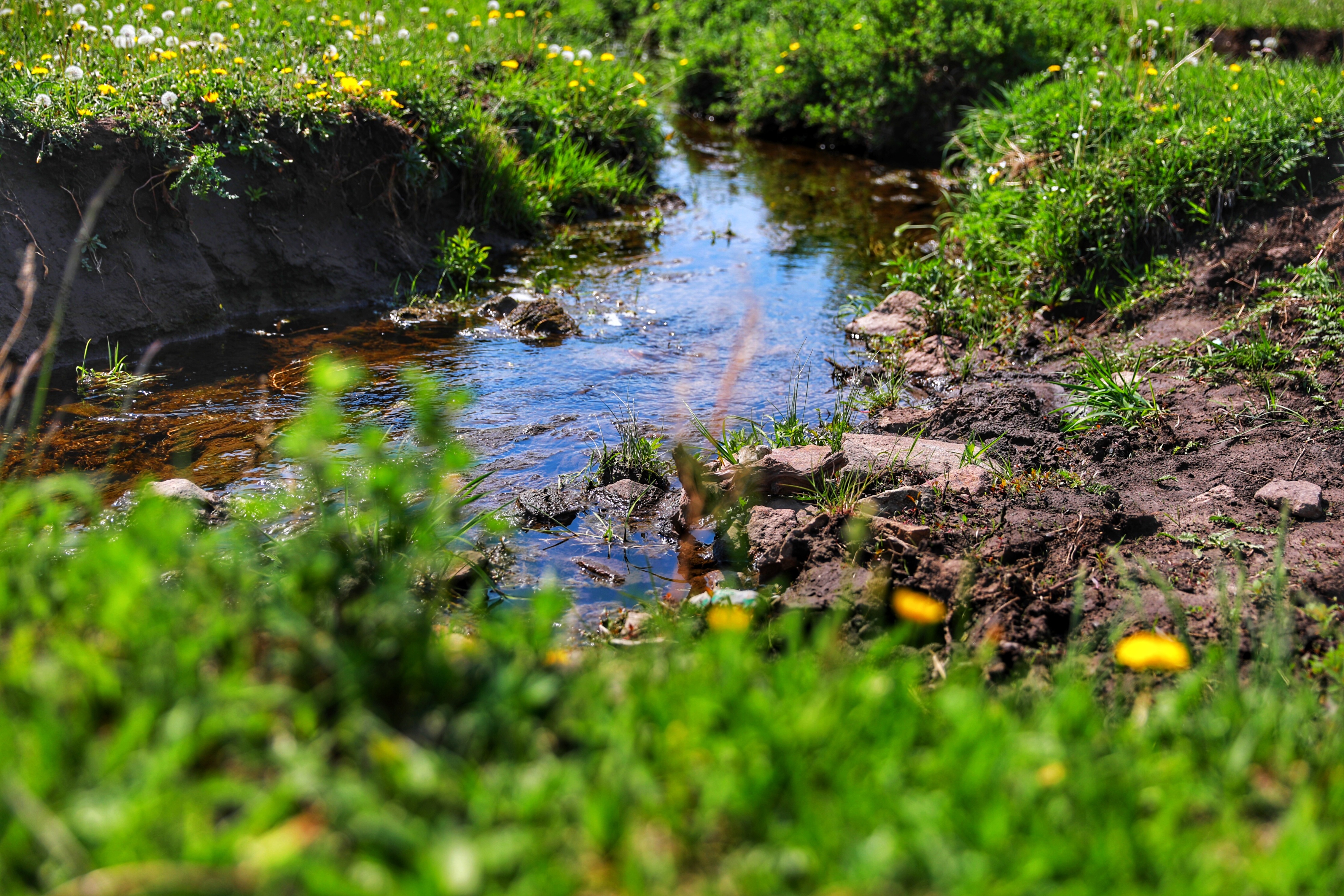 五一假期人从众出游,五一出游人从众何去何从