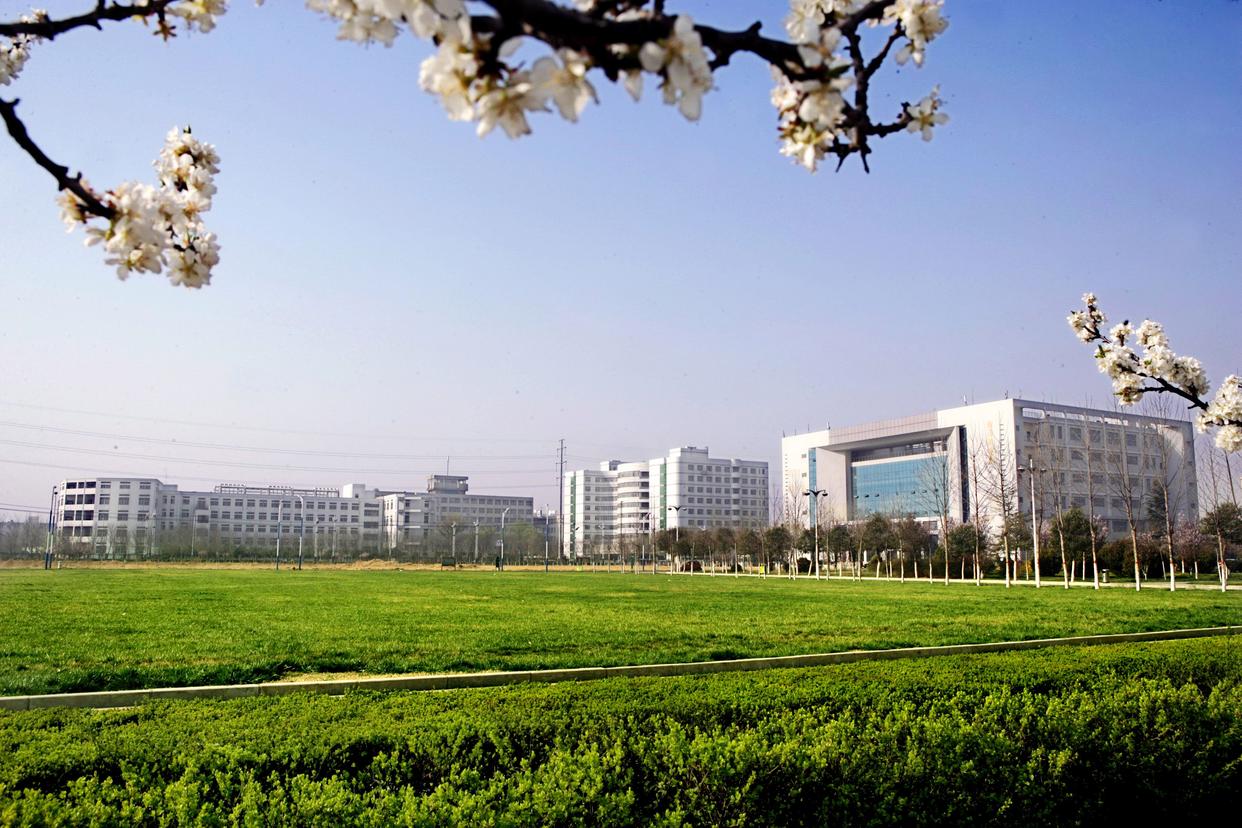 新乡河大医学院排名,新乡医学院与河大医学院谁更优