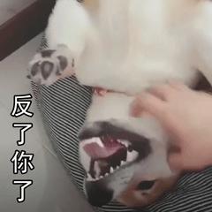 特别想挨揍的表情包,喜羊羊挨揍表情包