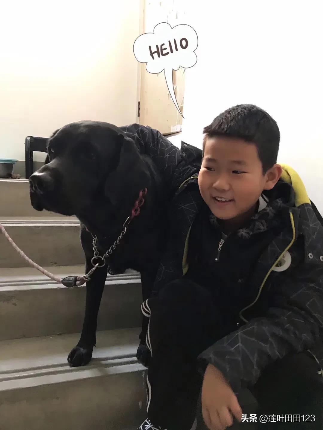 闪亮的白水晶和王子小海豚