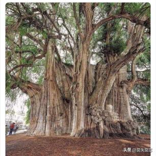 清朝末期动荡不安,清朝民间民不聊生