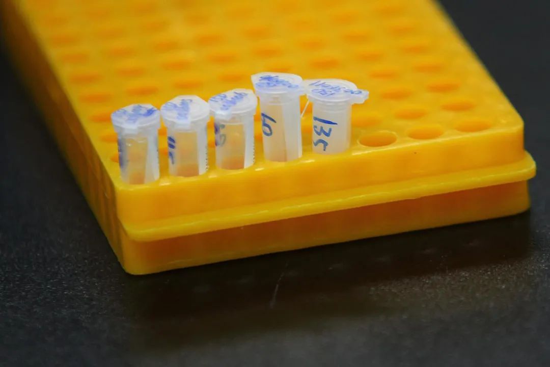 华大基因被举报,华大基因被举报是真的吗