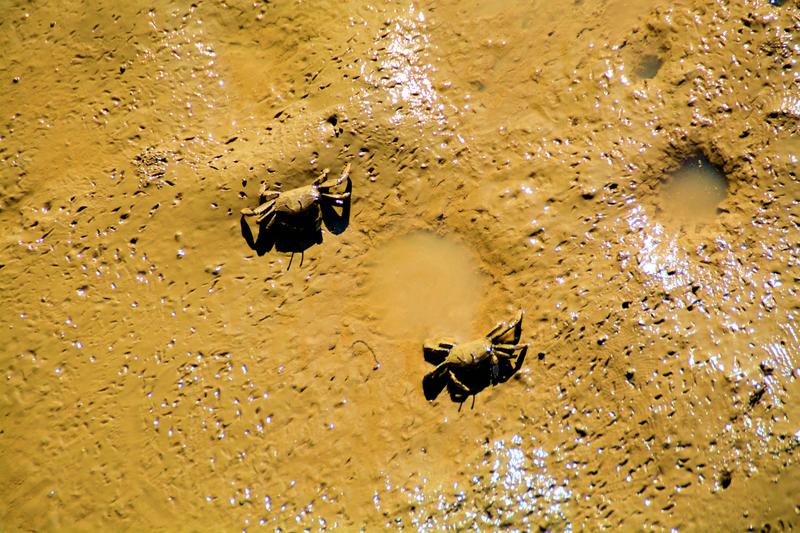 辽宁盘锦在哪个地方,去盘锦旅游哪里好