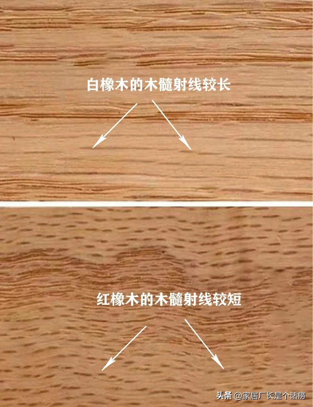 红橡木白橡木和橡胶木区别,红橡木和白橡木与橡胶木区别