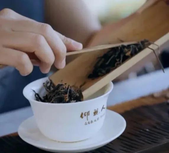 茶韵悠悠喝茶是一种心境,浮生茶语以茶的姿态去生活