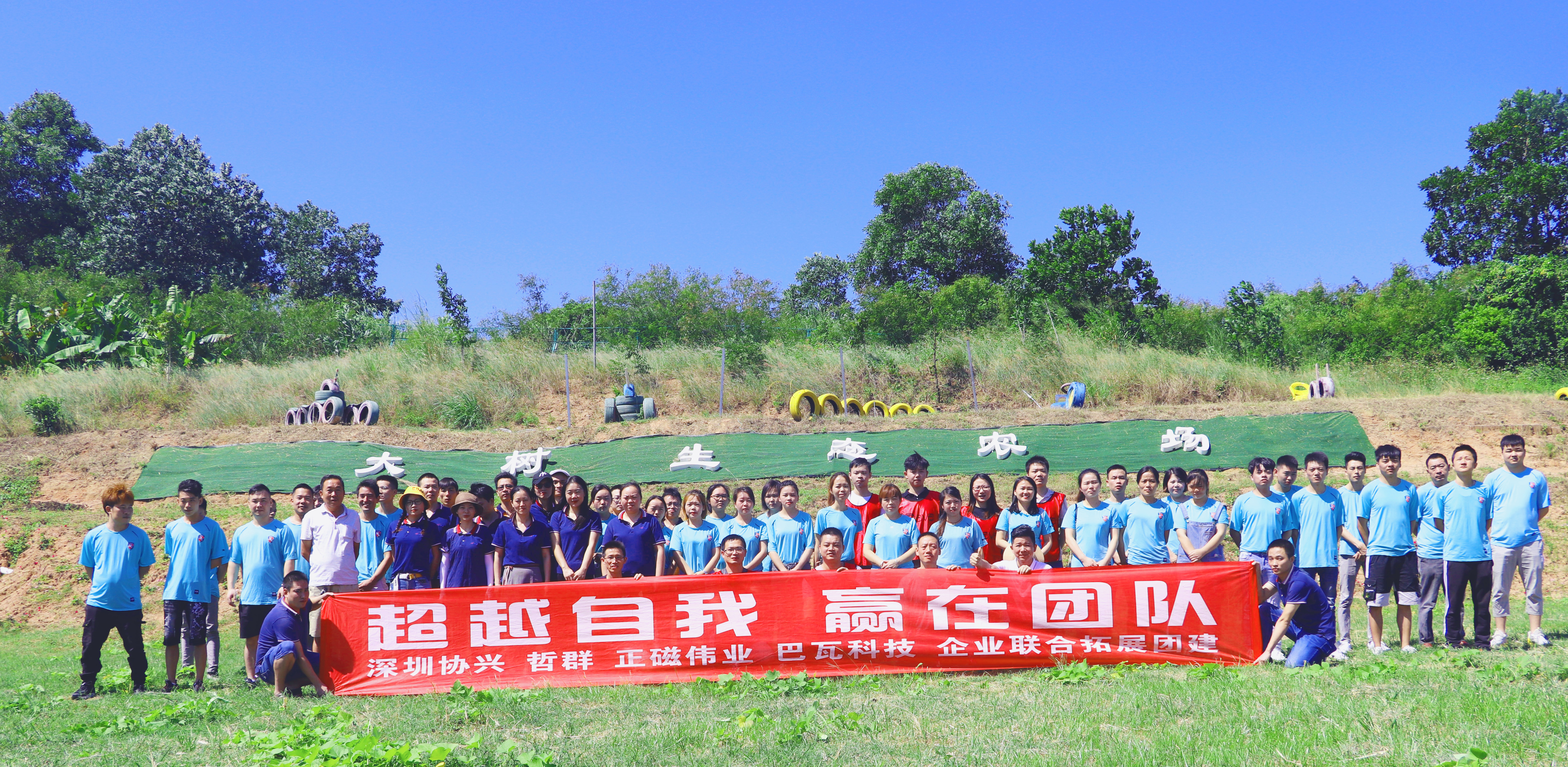 深圳哪里适合团建农家乐,深圳团建轰趴好去处