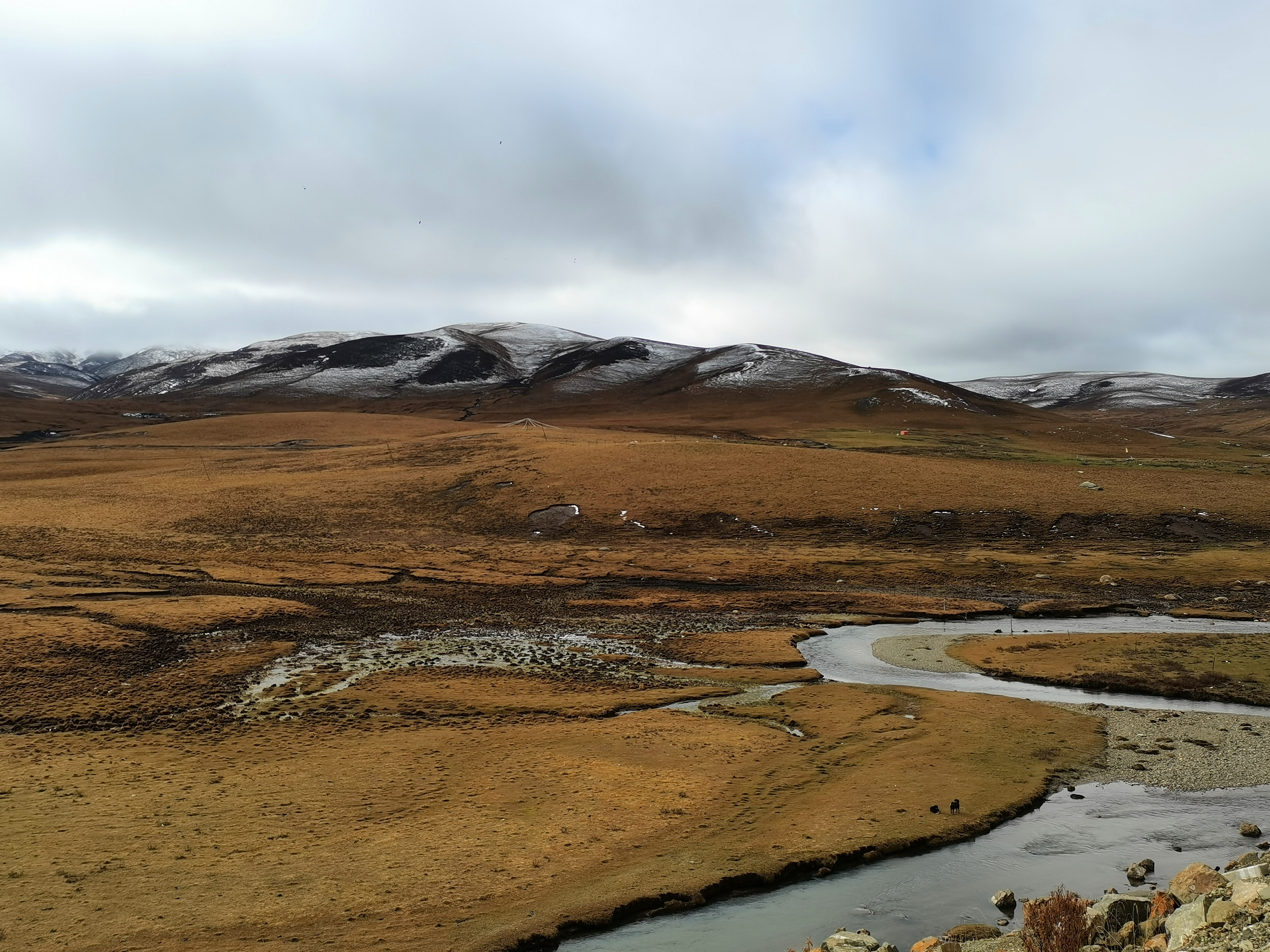 甘南自驾游洛克之路的绮丽风景,四川省甘南旅游景点自驾游推荐