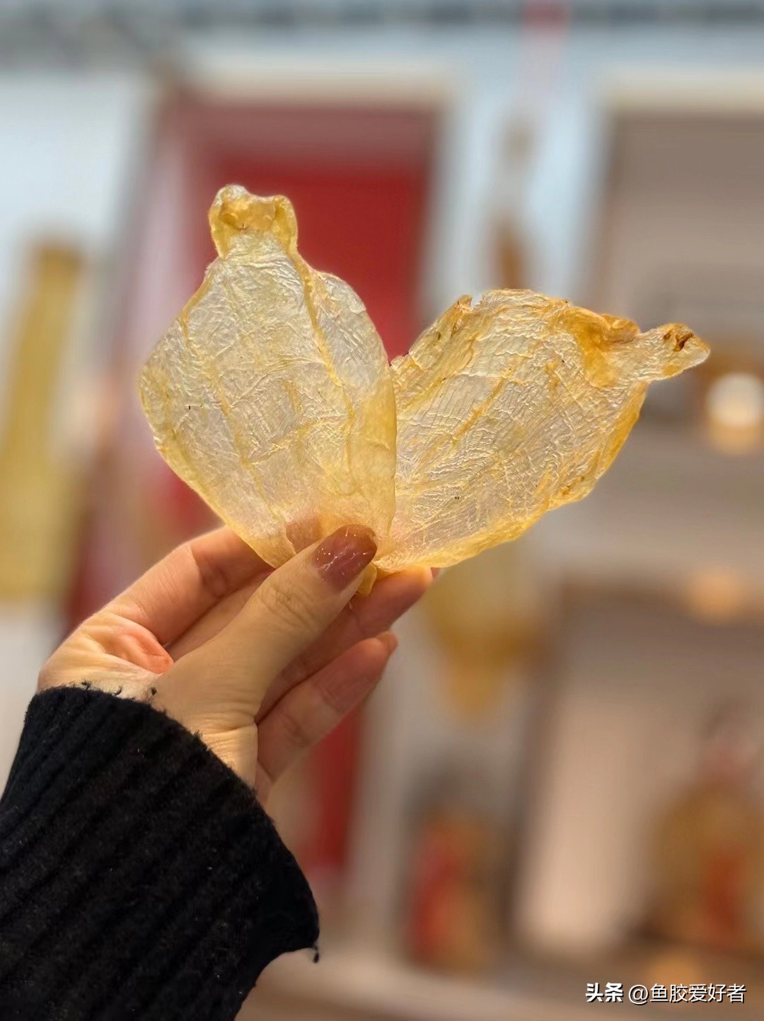 直播鱼胶攻略,直播间鱼胶推荐