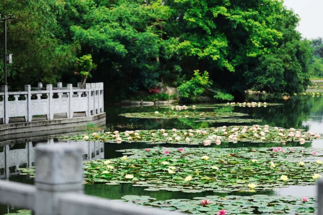 一证在手说走就走文案,开启说走就走的旅行安徽省