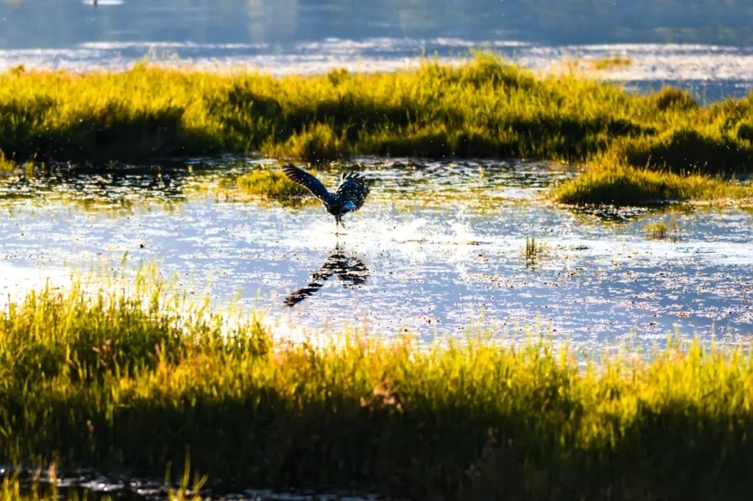 腾冲出游,腾冲诗和远方