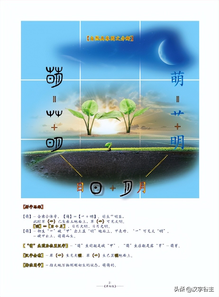 姹夊瓧妞嶇墿,鑽夋湪姹夊瓧