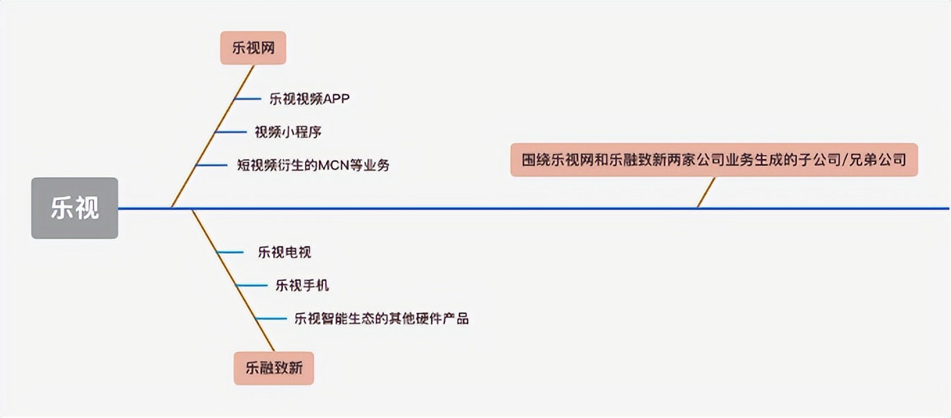 乐视会成为什么公司,乐视神仙公司