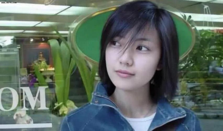 高圆圆的辛酸情史,高圆圆谈了几段情史