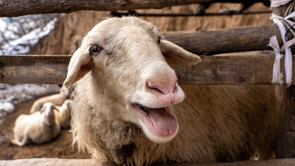 初五迎财神初六送穷神什么意思,大年初四接财神有什么讲究