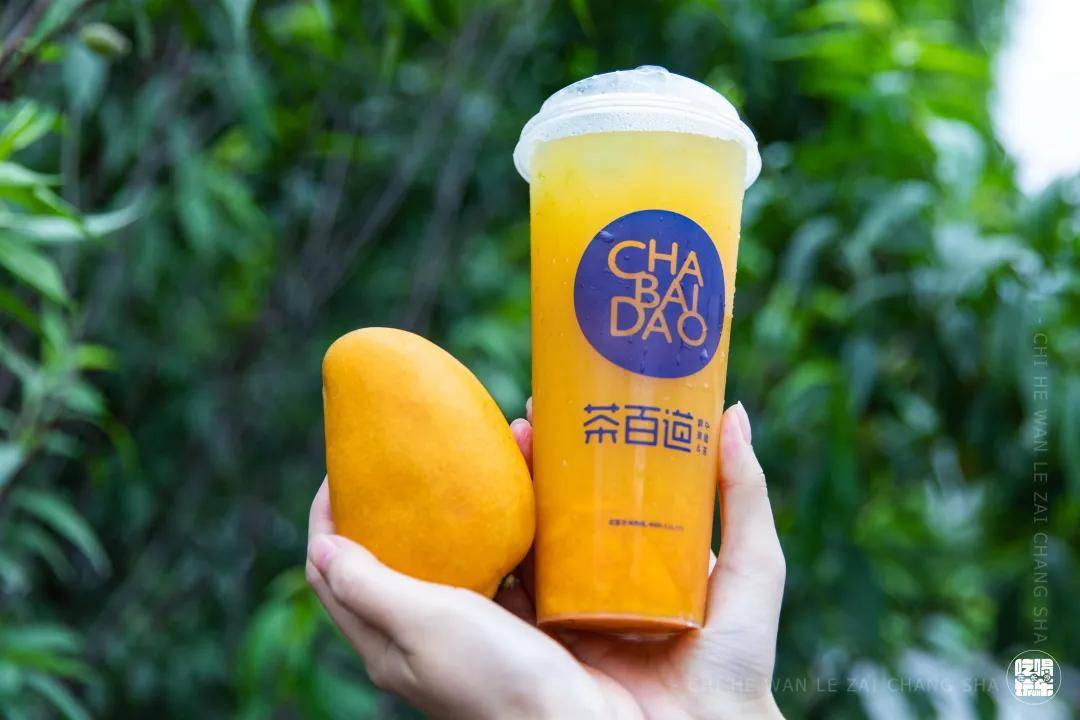 2023茶百道加盟费用一共要多少钱,2022茶百道加盟费用