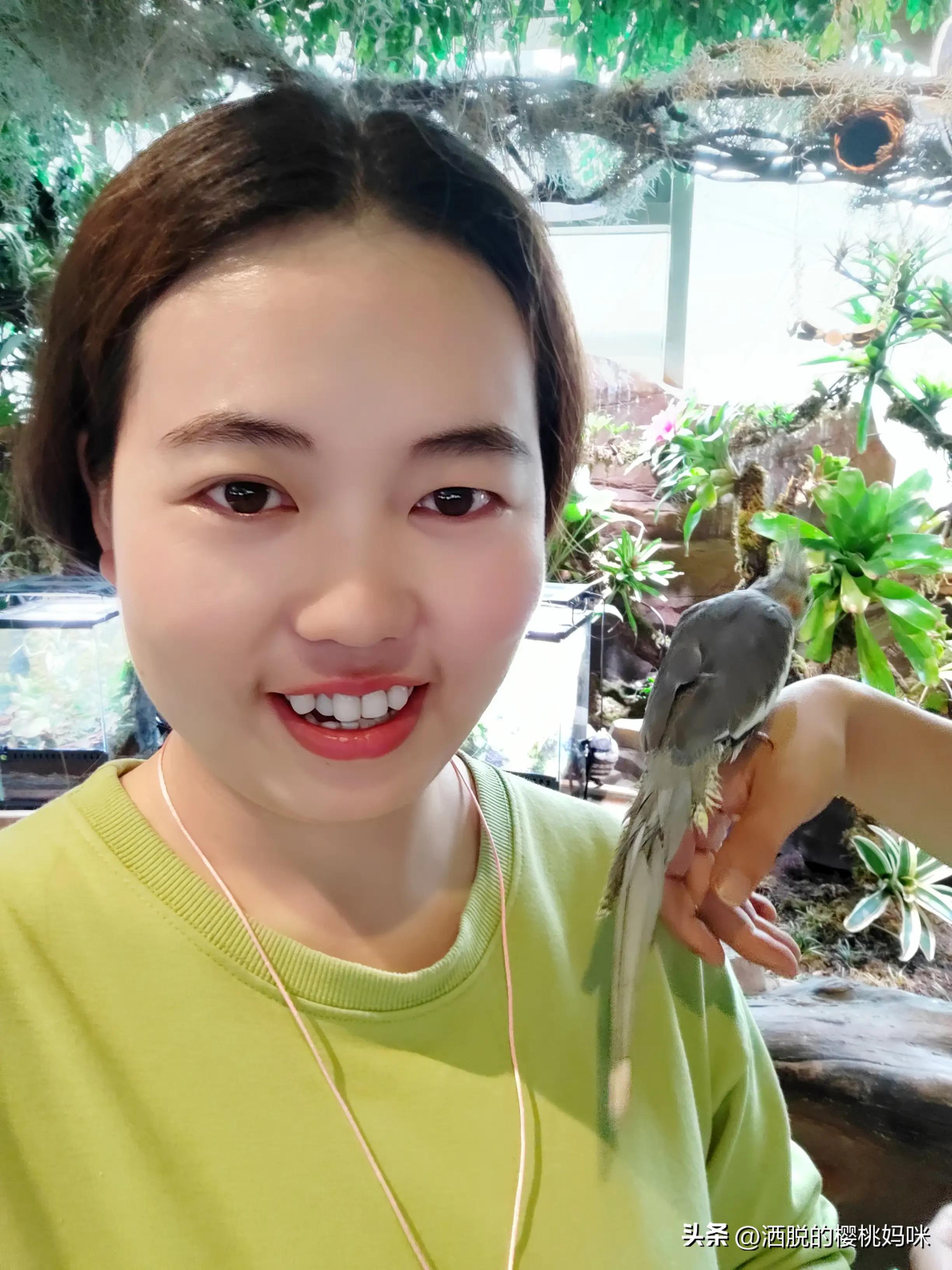 自我介绍模板,自我介绍简短有力幽默