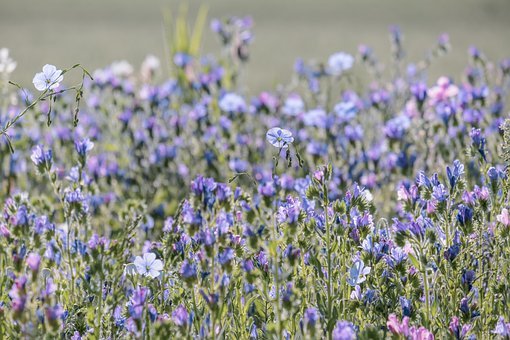 明天自有明天的忧愁,把明天的烦恼交给明天