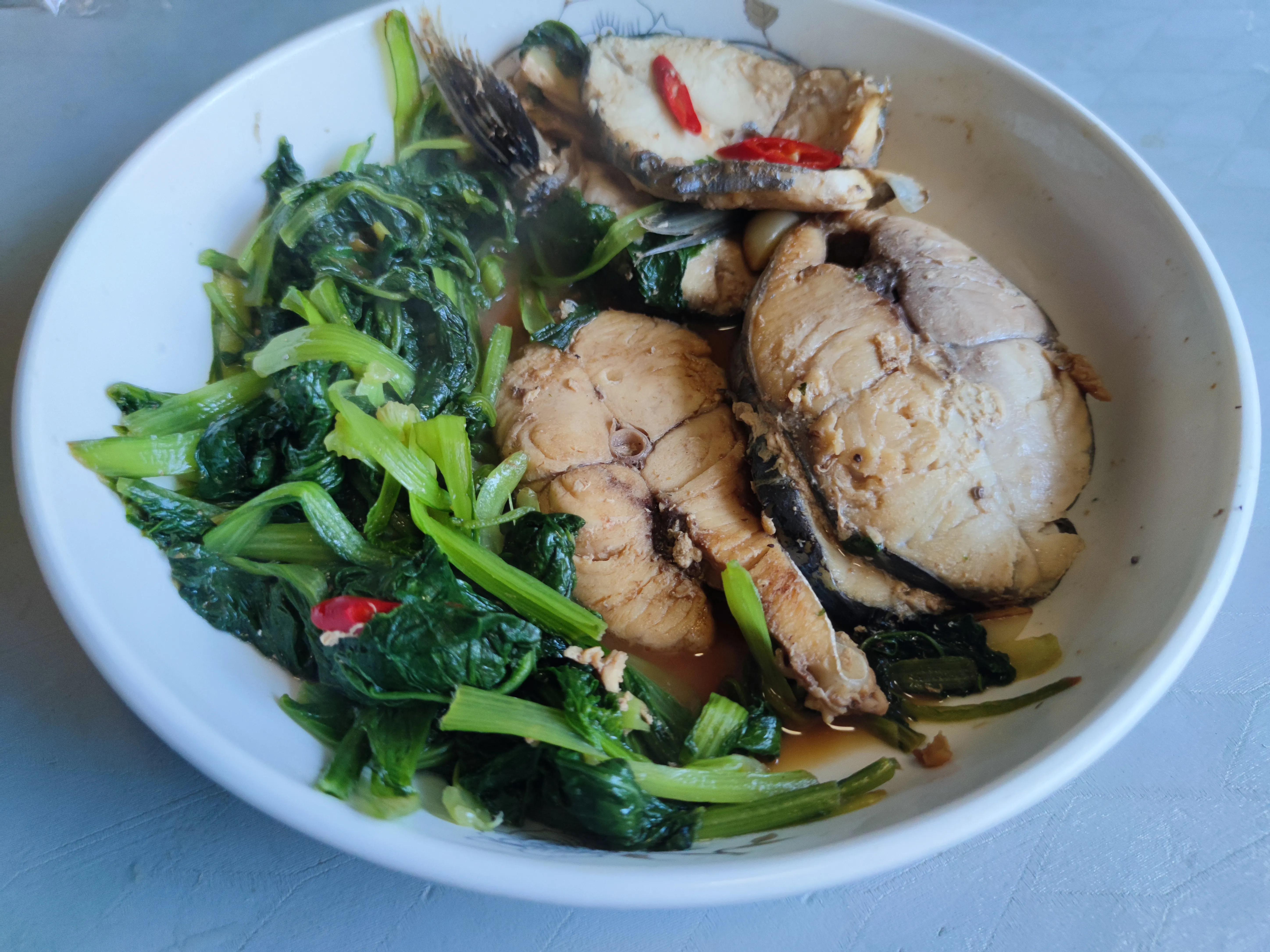 这个季节野生的海鱼有哪些,现在季节吃的海鱼有什么品种