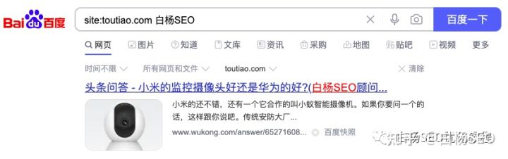 白杨seo博客推广渠道,seo搜索引擎现状分析