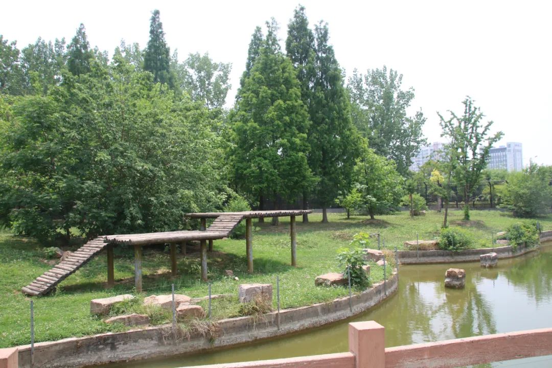 邢台动物园变大了没,淮安动物园开发时间