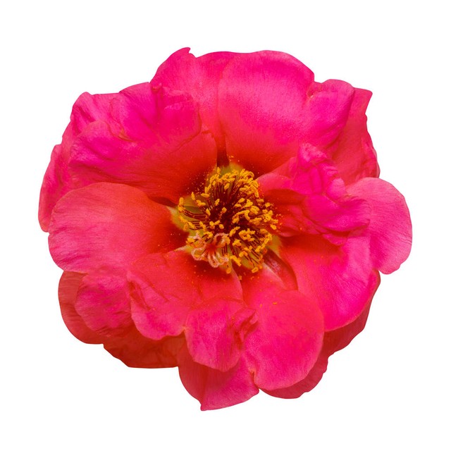 如果一个男人心里有你却不理你,当一个男人心里没有你该怎么办