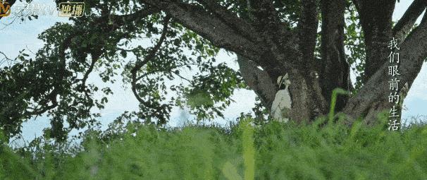 去有风的地方刘亦菲被说胖,去有风的地方刘亦菲忽胖忽瘦