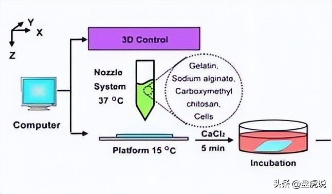 壳聚糖吸附铜离子,壳聚糖水凝胶吸附重金属