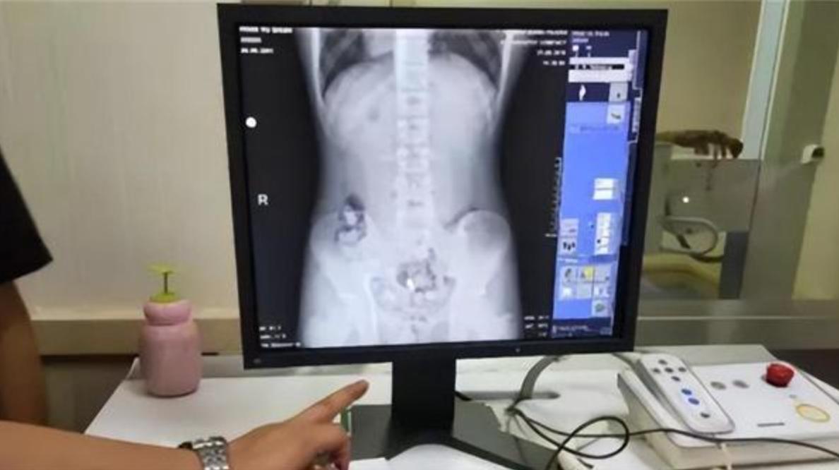 80年代卡魔拉事件,莫雷拉最后怎么样了