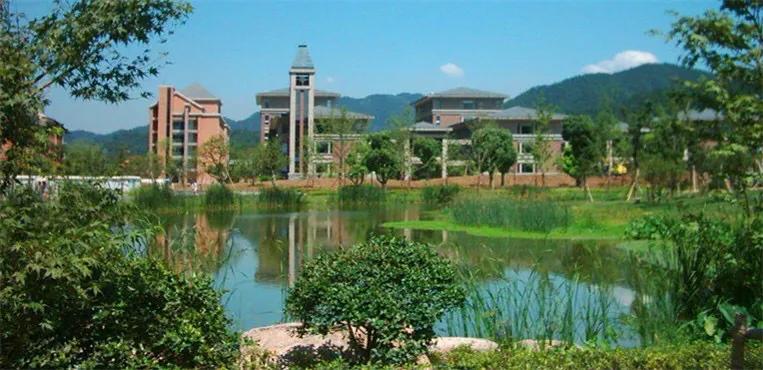 600分选电子信息还是机械专业,600分选哈工大