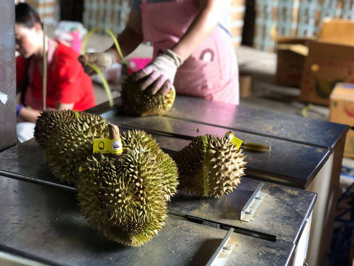 “遍地诱惑”的奇葩国度泰国现状，带你看看泰国冷知识